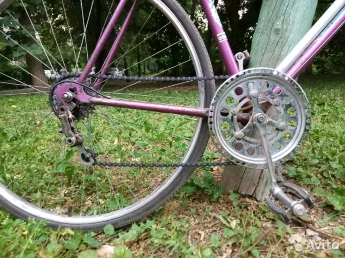 自行车“旅游”（28张照片）：Rhens自行车的特色。轮子的尺寸和重量。创作历史。选择的微妙之处 20398_10