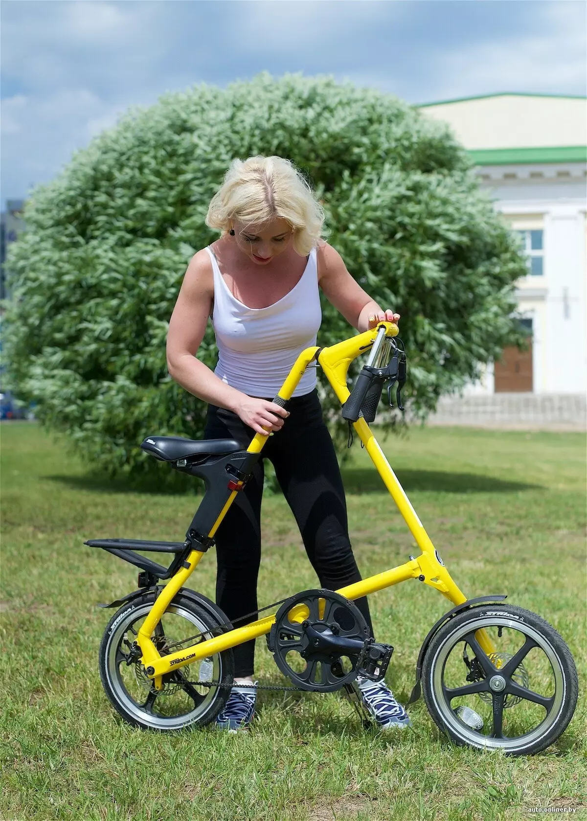 STRIDA自行車：構造和重量折疊三角形自行車的。熱門車型的概況，創作，選擇微妙的歷史 20400_21