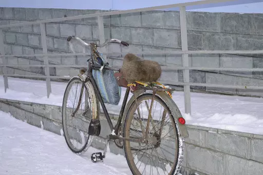 Հեծանիվ «Orlenok» (13 լուսանկար). Անիվների բնութագրեր եւ տրամագիծ: Պատանիների հեծանիվների չափերը 20408_13