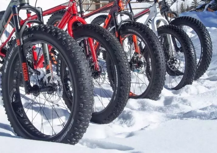 Talvirenkaat polkupyörälle: nastat renkaat 20-26 ja 28-29 tuumaa, muut vaihtoehdot talvikumille. Pyöräilyrenkaiden valinta talvella 20449_10
