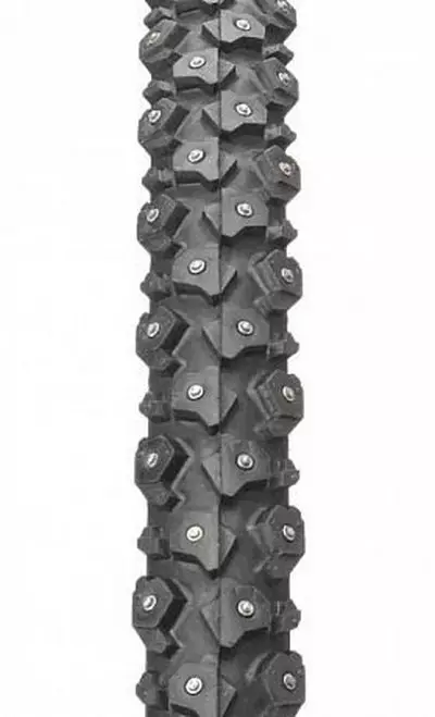 Зимски гуми за велосипед: студиски гуми 20-26 и 28-29 инчи, други опции за зимска гума. Избор на гуми за велосипеди за зима 20449_16