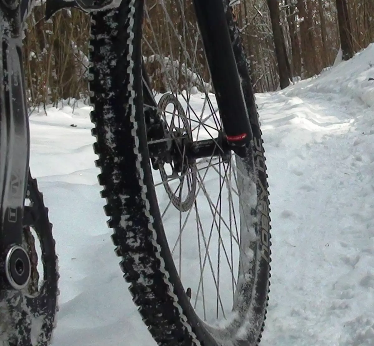 Зимски гуми за велосипед: студиски гуми 20-26 и 28-29 инчи, други опции за зимска гума. Избор на гуми за велосипеди за зима 20449_27
