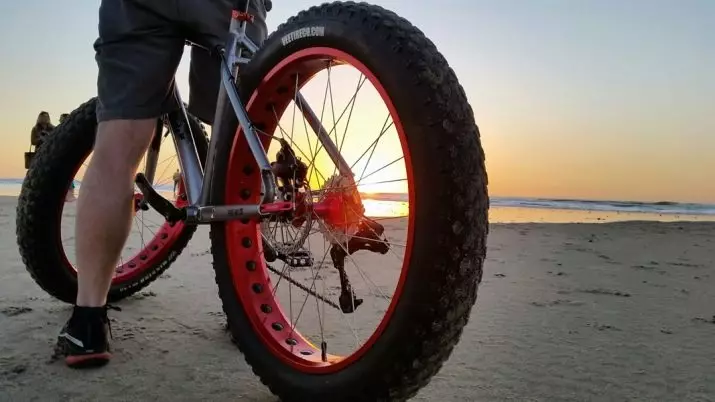 Reifen für ein Fahrrad: So wählen Sie für 20 Zoll ein Schuhloses und Airless-Bike-Pausen? Welcher Reifen sollte Reifen haben? Was ist Semis-Anrufe? 20450_2
