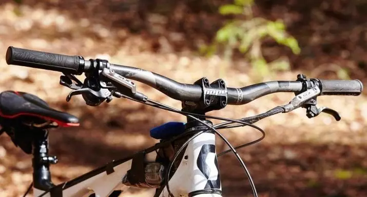 Rrota drejtuese për një biçikletë: tiparet e rrotullonave të biçikletave të larta dhe të palosshme, një pasqyrë e modeleve 