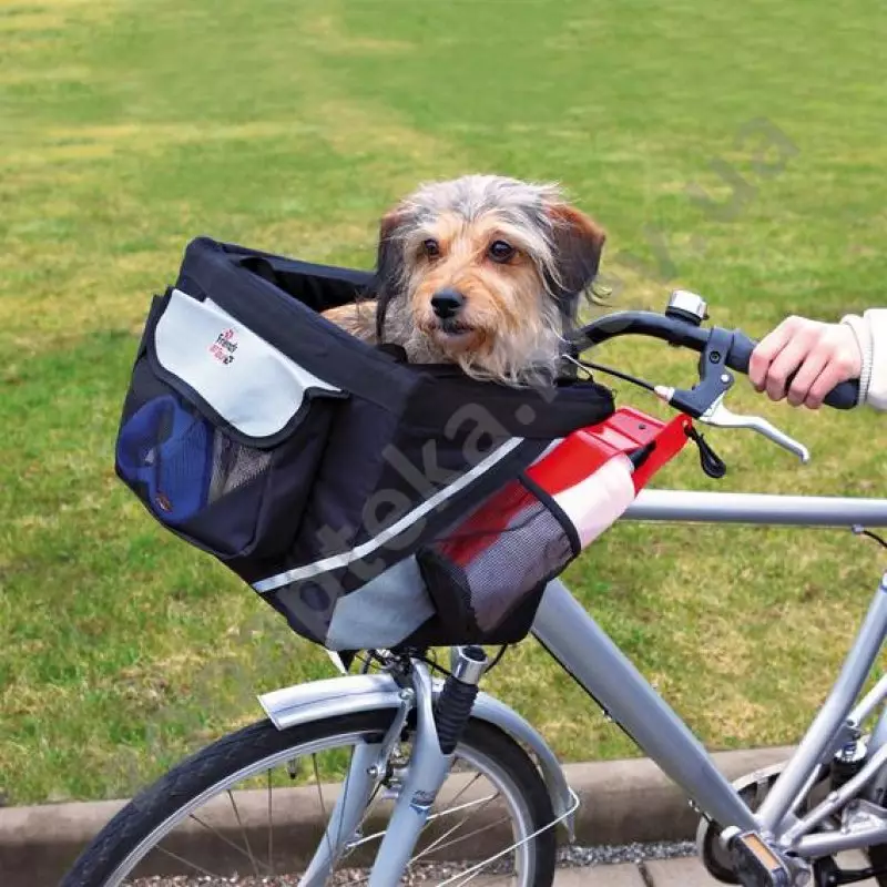 Nkata maka nkịta na a bike: otú ịhọrọ a bike nkata maka anụmanụ e ji ebu ihe, cycorzine na ákwà mgbokwasị na n'iru wheel maka nkịta dị iche iche udiri anumanu? 20491_11