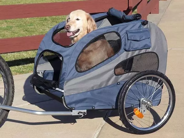 Koše pre psov na bicykli: Ako si vybrať bicykel košík pre košík zvierat, cyklzín a plášť na volante pre psov rôznych plemien? 20491_12