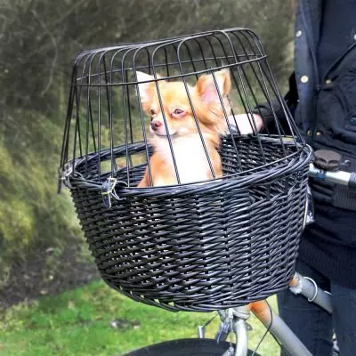 Les cistelles per als gossos en la seva bicicleta: com triar una cistella de bicicleta per al transport d'animals i velosumku velokorzinu al volant per a gossos de diferents races? 20491_6