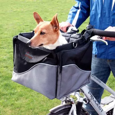 Košare za pse na biciklu: kako odabrati košaru bicikl za životinjskog prijevozu, cycorzine i plašta na upravljaču za pse različitih pasmina? 20491_7