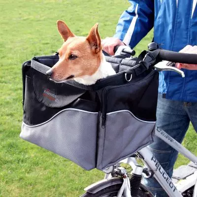 Las cestas para perros en una bicicleta: cómo elegir una cesta de bicicleta para el transporte de animales, cycorzine y una capa en el volante para perros de diferentes razas? 20491_7