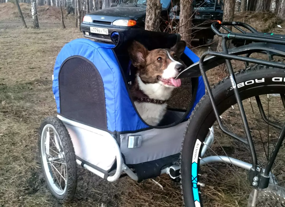 велосипедное кресло для собаки