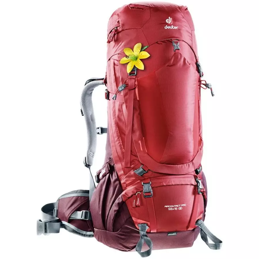 Velororyukzak: Pumili ng isang backpack sa puno ng bisikleta at sa likod ng isang siklista, pagbibisikleta backpack deuter, Cyclotech, Thule at iba pang mga modelo 20506_15