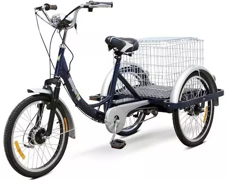 بالغوں میں تین پہیوں برقی سائیکلوں: الیکٹرک ڈرائیو، پیشہ اور برقی 3 پہیوں کی سائیکلوں کے ساتھ سائیکلوں کے ماڈلوں کا ایک جائزہ 20515_10