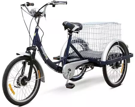 Erwuessener dräi-wheeled Elektresch Veloen: Eng Iwwersiicht vu Modeller vu Vëloen mat Elektrd, Pros, Pros a Cons vun elektresche 3-Wheeled Vëlo 20515_10