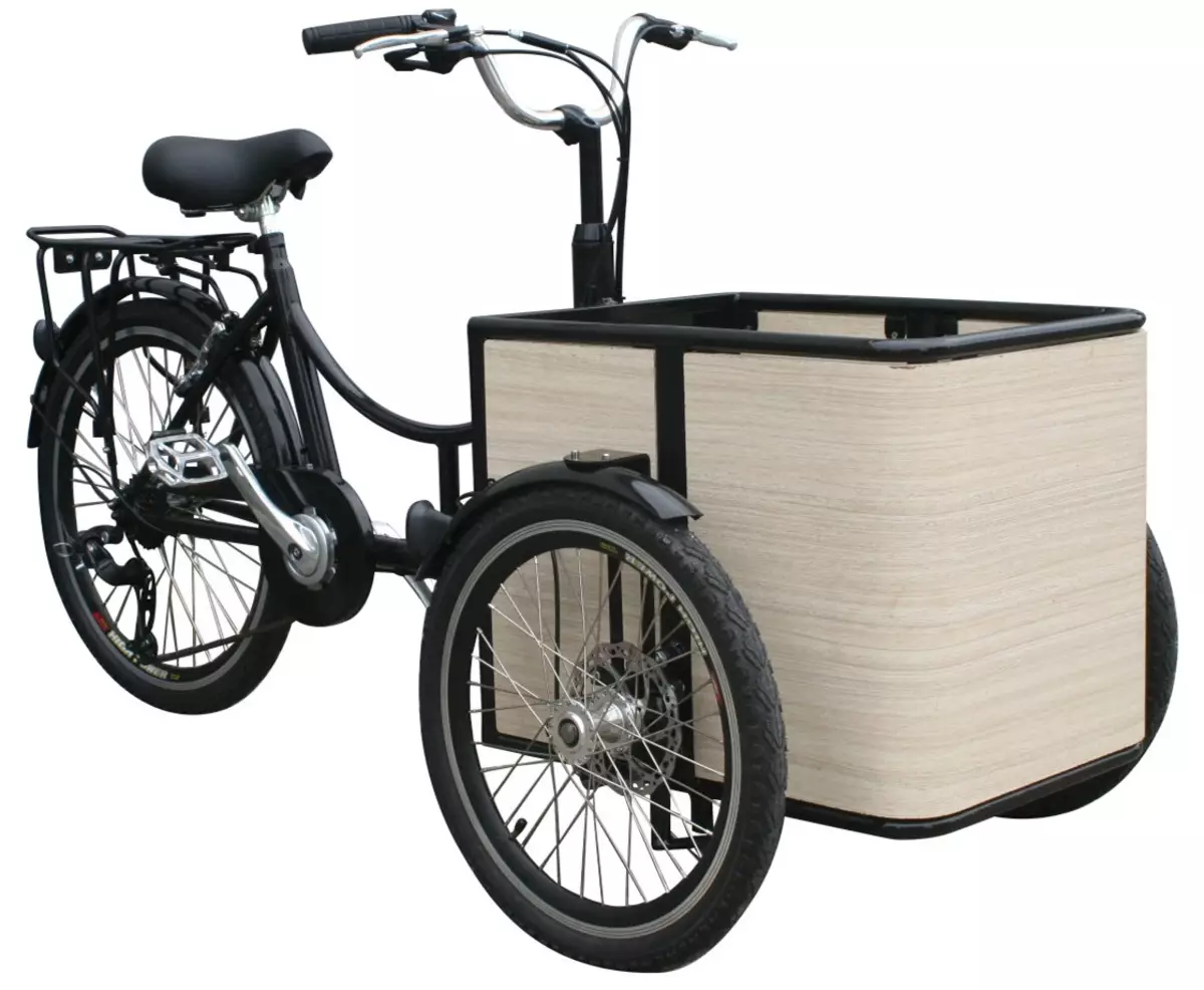 Adulti Biciclette elettriche a tre ruote: una panoramica dei modelli di biciclette con azionamento elettrico, pro e contro delle biciclette elettriche a 3 ruote 20515_11