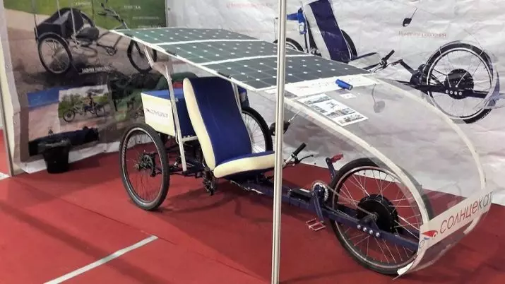 Erwuessener dräi-wheeled Elektresch Veloen: Eng Iwwersiicht vu Modeller vu Vëloen mat Elektrd, Pros, Pros a Cons vun elektresche 3-Wheeled Vëlo 20515_16