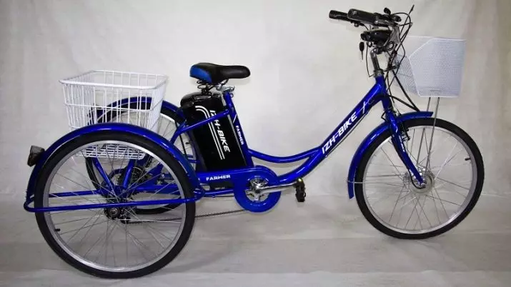 מבוגרים תלת-גלגלים אופניים חשמליים: סקירה של דגמים של אופניים עם כונן חשמלי, יתרונות וחסרונות של אופניים חשמליים 3 גלגלים 20515_19