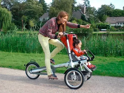 Adulti Biciclette elettriche a tre ruote: una panoramica dei modelli di biciclette con azionamento elettrico, pro e contro delle biciclette elettriche a 3 ruote 20515_21
