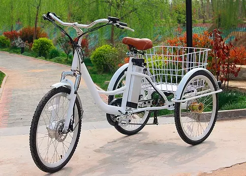 بالغوں میں تین پہیوں برقی سائیکلوں: الیکٹرک ڈرائیو، پیشہ اور برقی 3 پہیوں کی سائیکلوں کے ساتھ سائیکلوں کے ماڈلوں کا ایک جائزہ 20515_7