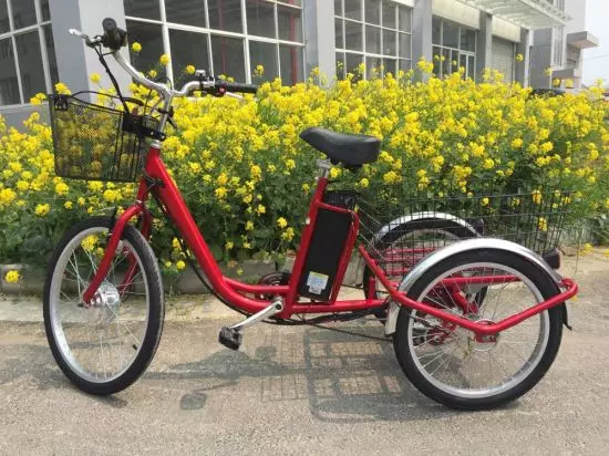 Одрасли електрични бицикли са три точка: преглед модела бицикала са електричним погоном, предности и недостацима бицикала на 3 точка 20515_9