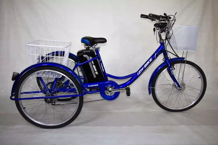 इलेक्ट्रिक सायकली (50 फोटो): रशियन उत्पादन, माउंटन आणि ऑल-व्हील ड्राइव्हचे रिचार्ज करण्यायोग्य बाइक निवडा, मालक पुनरावलोकने 20517_34