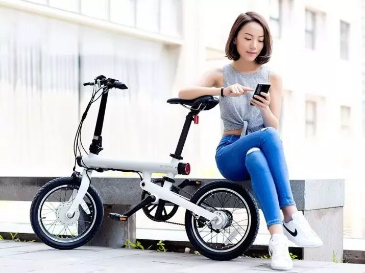 Жиналмалы электр велосипеді: Compact электр тауы мен басқа модельдерге шолу, ең жақсы жеңіл және қуатты және қуатты жиналмалы электр велосипедтері 20519_30