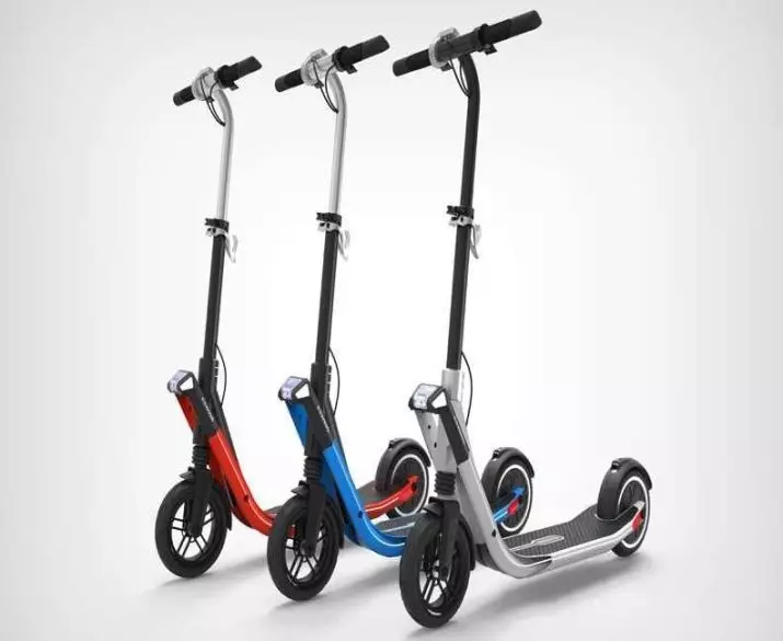 E-scooter Electrospolds: Instruções para uma scooter elétrica com um assento sem ele. O que está ligado? 20524_2