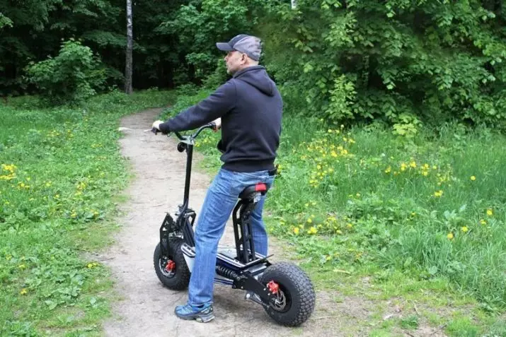 Electrosamocata con sedili (43 foto): adulti e scooter elettrici a tre ruote per bambini. Valutazione dei migliori scooter con una sella per i bambini e gli anziani 20526_14