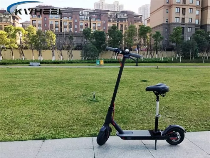 Electrosamocata bi kursiyan (43 wêne): mezinan û scooters elektrîkî sê teker. Dengbêjên çêtirîn ên scootersên çêtirîn bi zendek ji bo zarok û pîr 20526_35