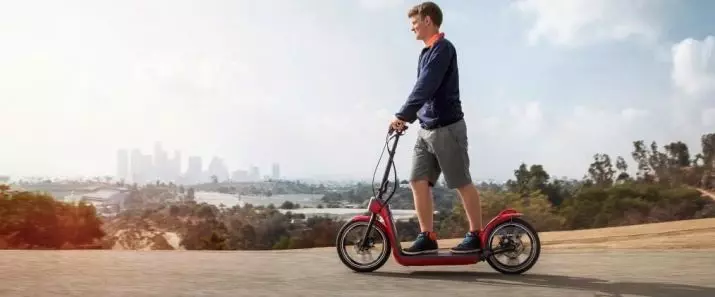 Adult Electric Scooter (54 şəkil) necə Elektron və batareyanın üzərində motor ilə qatlama scooter seçmək? Speed ​​və modelləri xülasəsi 20543_47