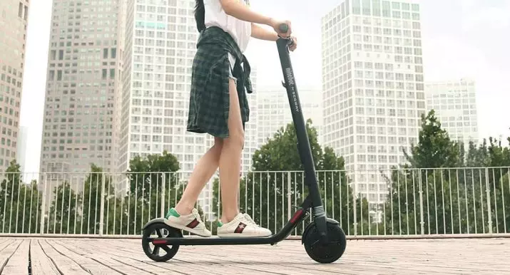 Adult Electric Scooter (54 şəkil) necə Elektron və batareyanın üzərində motor ilə qatlama scooter seçmək? Speed ​​və modelləri xülasəsi 20543_48