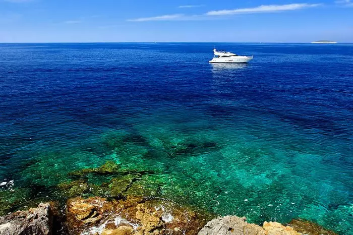 Vilket hav är tvättar Montenegro? 56 Fotobeskrivning av Adriatiska havet. Har det hajar och havshuggar? 20554_13