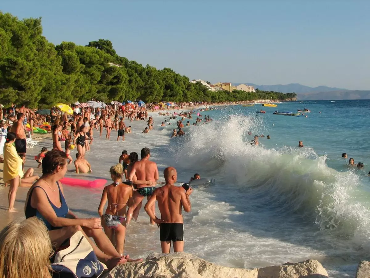 Vilket hav är tvättar Montenegro? 56 Fotobeskrivning av Adriatiska havet. Har det hajar och havshuggar? 20554_19