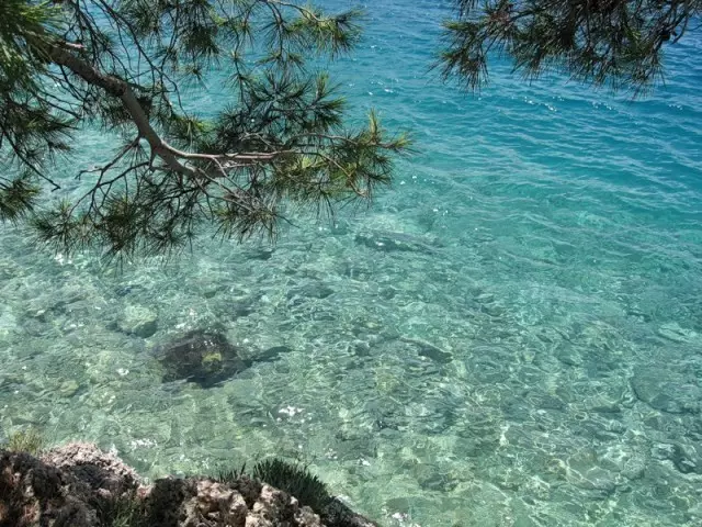 Che mare è il Montenegro? 56 Descrizione della foto del Mare Adriatico. Ha squali e ricci sea? 20554_24