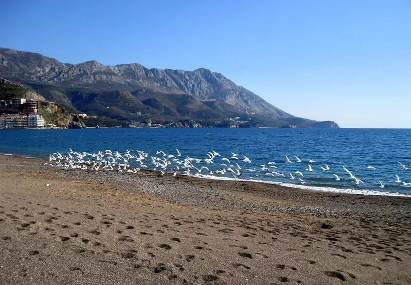 Beach Beach (Litšoantšo tse 34): Melemo le khatello ea leoatle Montenegro, likarolo tsa hae 20561_9
