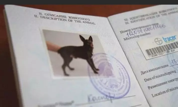 Entrata in Montenegro: Hai bisogno di un visto, passaporto e Schengen per i russi? Regole di ingresso per i cittadini russi 20575_4