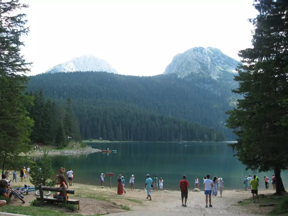 Durmitor (68 photos): Features of the National Park in Montenegro. Where is on the map? How to get? Sights of the Reserve 20590_3