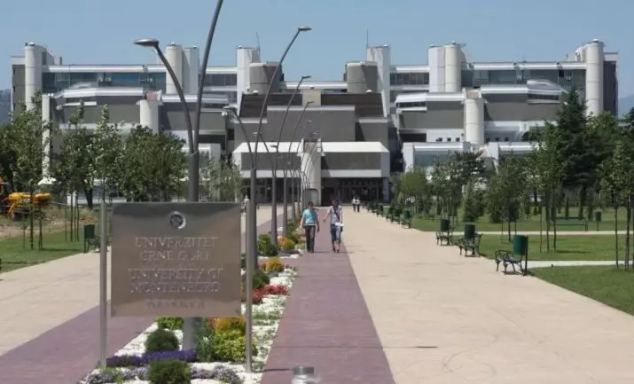 Atraccions a Podgorica: que es pot veure a si mateix a la capital de Montenegro? El monument a Vysotsky, Pushkin i altres llocs d'interès 20606_20