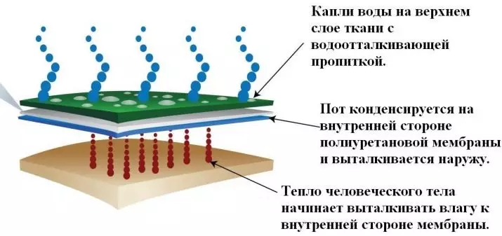 Kostume të skive për fëmijë: Si të vishni kostumet e dimrit? Shkaktojnë ski ski dhe të tjerët për vajzat dhe djemtë. Si duhet të ulet një kostum? 20682_3