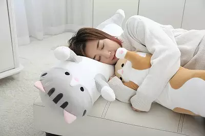 枕頭以動物的形式：如何選擇枕頭的枕頭，在嬰兒床？以動物的形式和其他模型的裝飾長枕頭睡覺 20705_8
