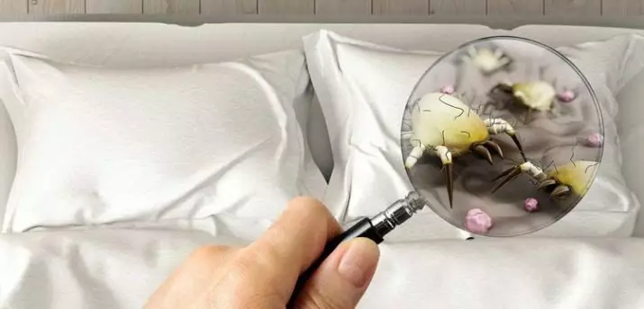 Pastrimi i jastëkëve nga Pen: Si të pastroni një jastëk Duvet në shtëpi pa larje? Pajisjet e restaurimit të thatë dhe aerochik 20712_31