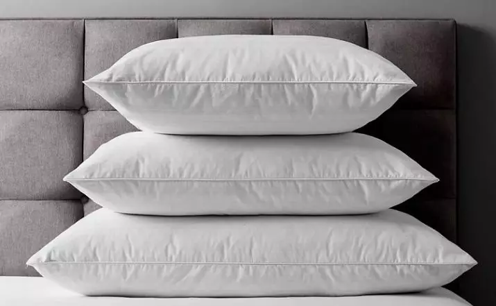 Pastrimi i jastëkëve nga Pen: Si të pastroni një jastëk Duvet në shtëpi pa larje? Pajisjet e restaurimit të thatë dhe aerochik 20712_4