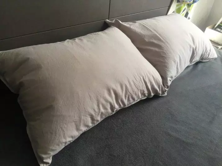 Esera Home Pillows: Анатомал, эс тутум жана латекс эффект, башка жаздыктар, сын-пикирлер 20749_23