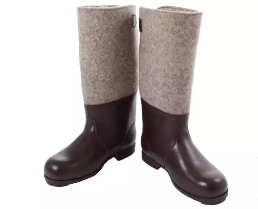 Aleman Boots (63 mga larawan): Winter Shoes ng Women ng Aleman kumpanya 2074_12