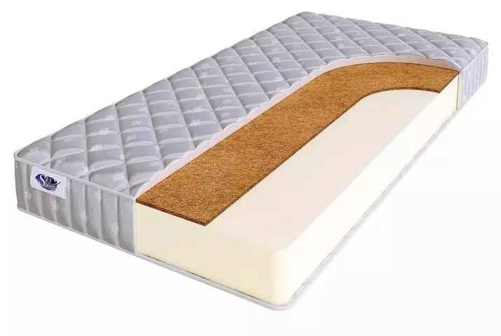 Enkeltmadrasser (29 bilder): Dimensjoner av standardmadrasser på sengen, bredden og høyden på modeller. Hvordan velge en voksen? 20769_7