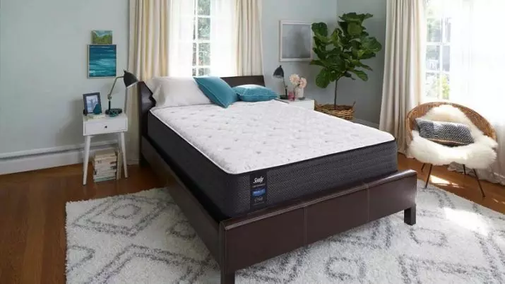 Amerikanske madrasser: høj og anden størrelse, madras produktionsteknologi på sengen, bedste producenter 20775_13