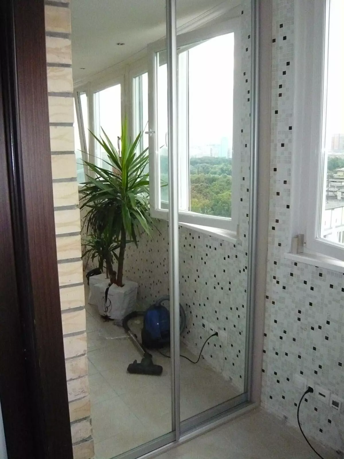 Клизна гардероба на балкону (40 фотографија): Уграђени орторобови угаоних угаоних угаоних и других модела. Опције дизајна 20838_37