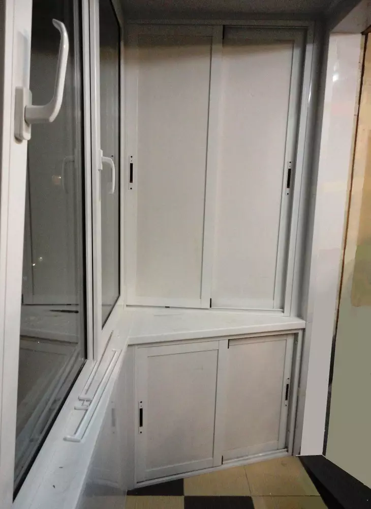 Balkon Cabinets (108 foto): Contoh lemari balkon built-in dan plastik, ide-ide menarik untuk lemari desain dengan roller shutters dan cladding 20841_89