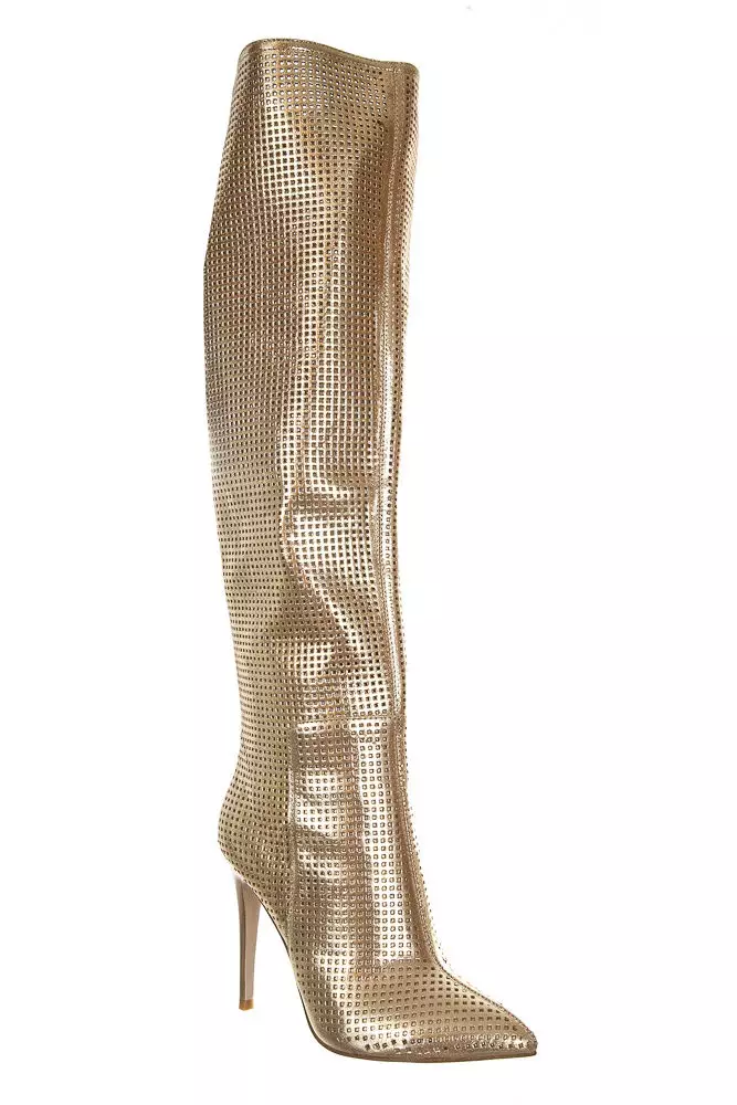 Graciana Boots（39張照片）：女士冬季模型 2084_5