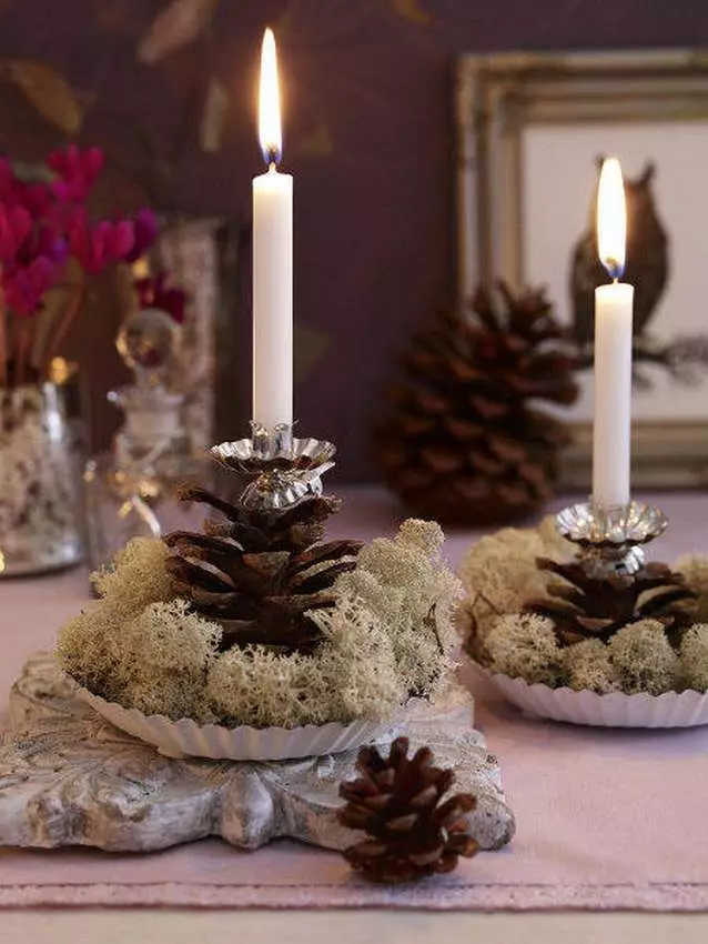 Candlestick iz stožcev: Kako narediti sami za novo leto? Glavni razredi po korakih božičnih svečnikov iz borovcev in jelk, oblikovalskih obrti 20855_4