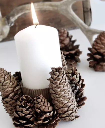 Candlestick dos conos: como facelo para o ano novo? Clases mestras paso a paso de candelabros de Nadal de piñeiros e abeto, artesanía de deseño 20855_46